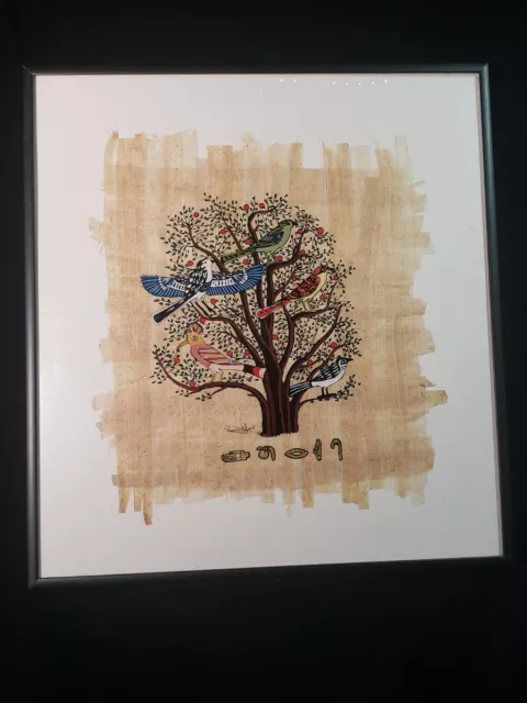 Egyptian Hand Painted Genuine Papyrus signed,framed ~tree of life~ birds