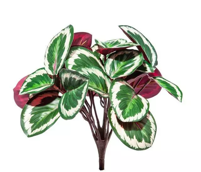 1 Ramo Calathea Ornata Artificiale 33Cm Decorazione Casa Interni Esterni