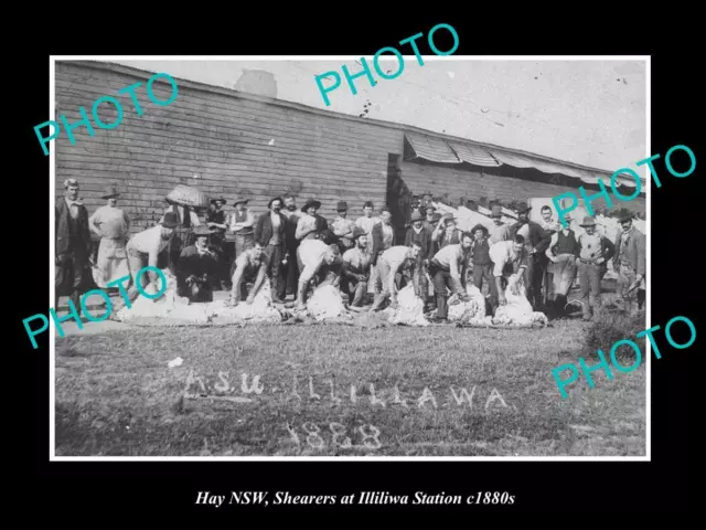 OLD LARGE HISTORIC PHOTO OF HAY NSW WOOL SHEARERS AT ILLILIWA STATION c1880