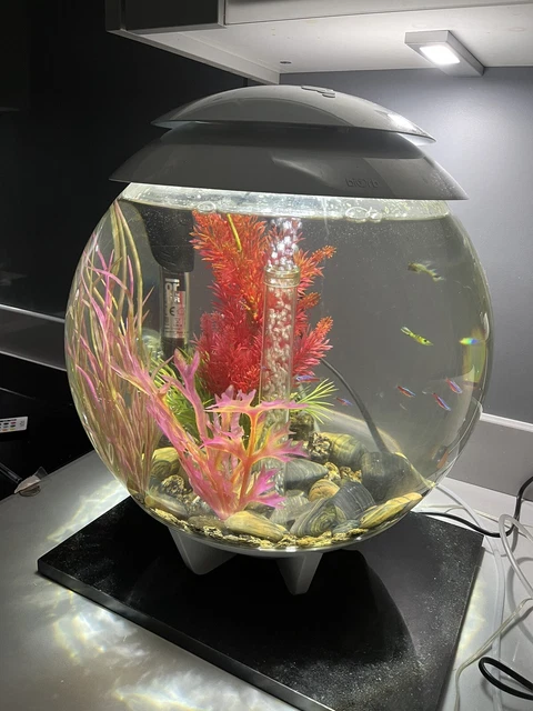 BiOrb HALO 30 Aquarium Fish Tank MCR LED - White