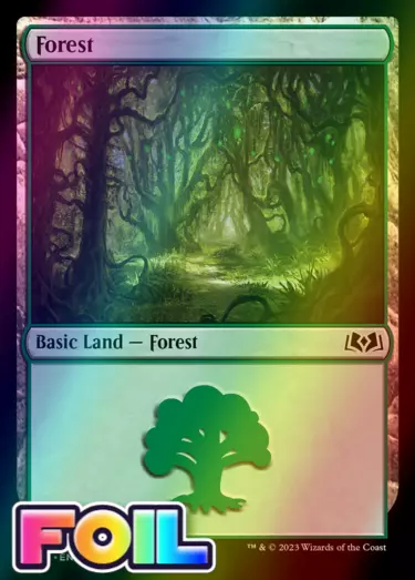 x1 Forest WOE MTG 275 LÁMINA BÁSICA TIERRA M/NM 1x