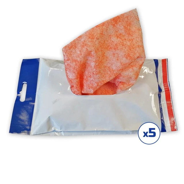 Lot De 60 Lingettes Nettoyantes Pour Les Mains Roxy Hand Cleaner
