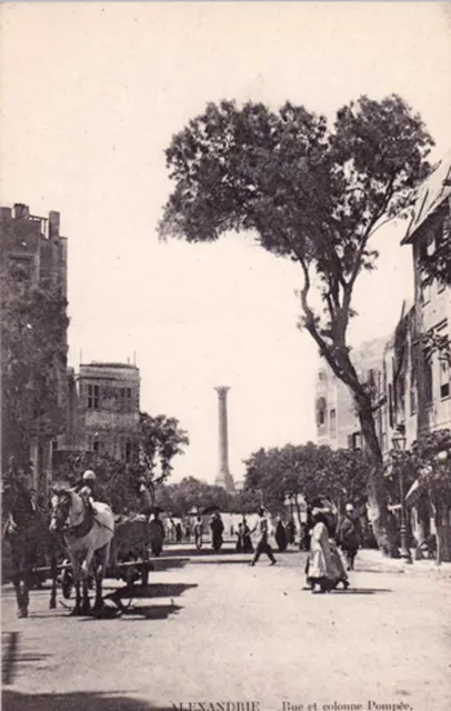 Carte postale ancienne EGYPTE EGYPT ALEXANDRIE ALEXANDRIA rue et colonne pompée