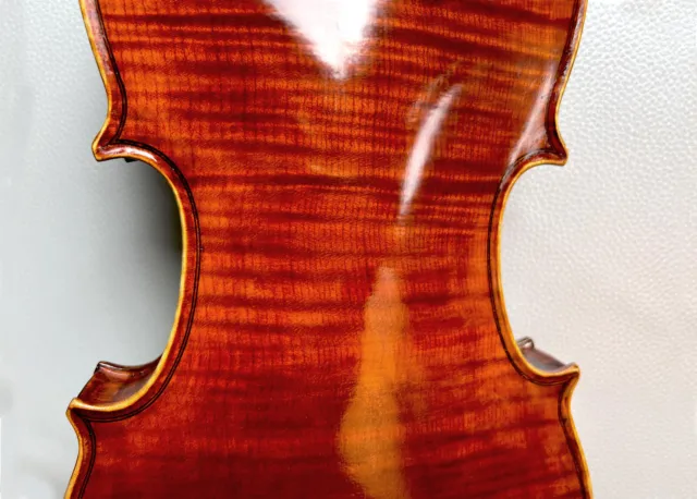 sehr gute Geige 4/4 Meisterwerkstadt Italien 2018 Violine