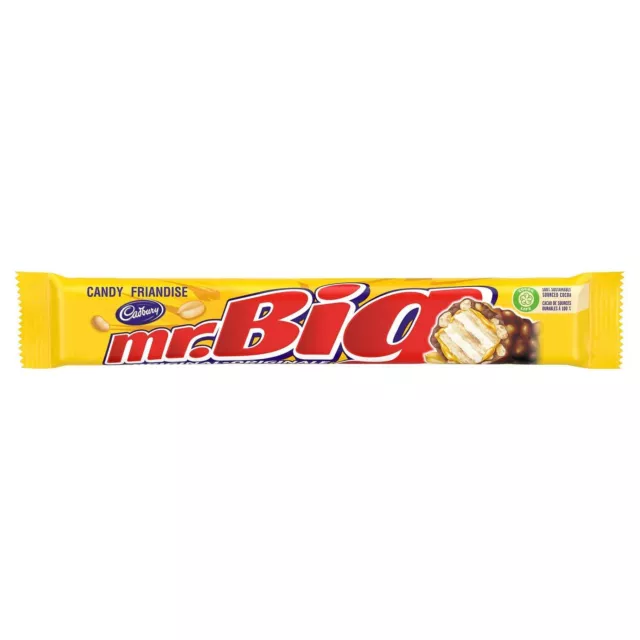 Mr. Big Chocolate Candy Bar 60g x 48 Cadbury Canadian, Fresh from Canada