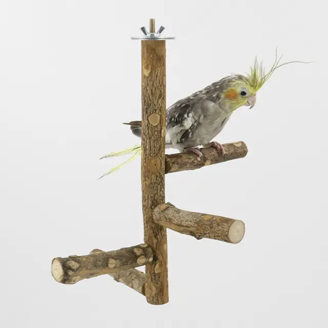 Parrot Play Stand Platform Pet Bird Playground for Finches Conures Lovebirds