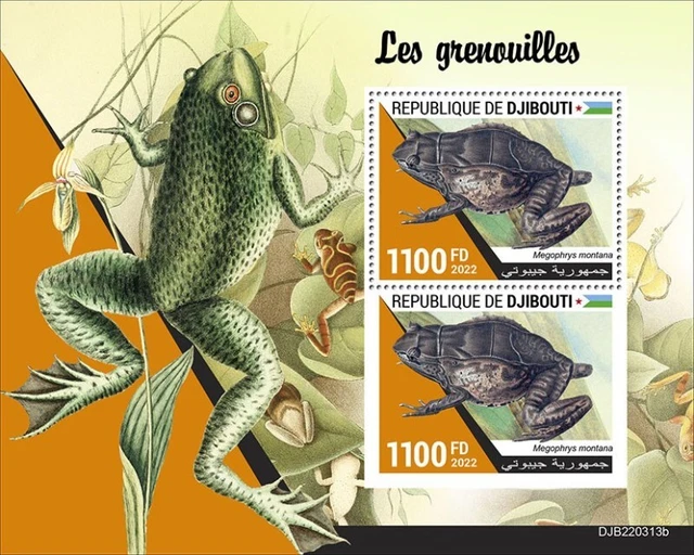 Dschibuti - 2022 Asiatische Horned Frog - 2 Briefmarke Souvenir Blatt -