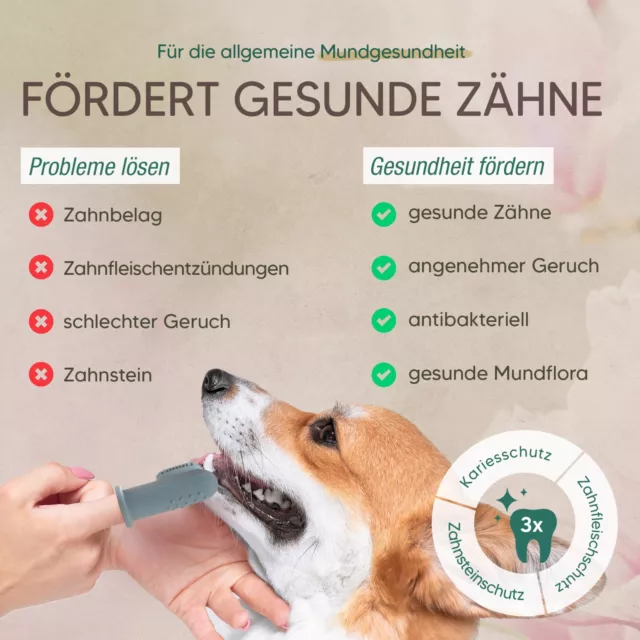 Pawlie's Hundezahnpasta - Natürliche Zahnpflege für Hunde 2