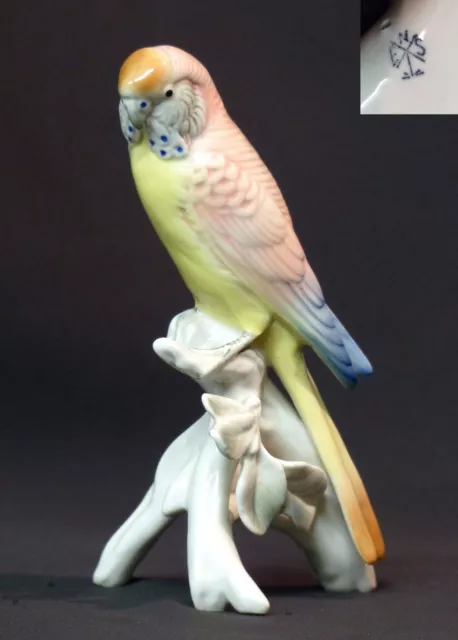 A 19èm porcelaine Saxe KARL ENS jolie perruche 18cm225g perroquet  meissen