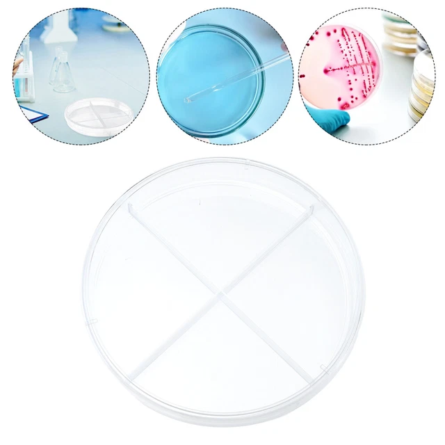 10 Pcs Cell Culture Dish Glass Petri Plant Accessories with Lid
