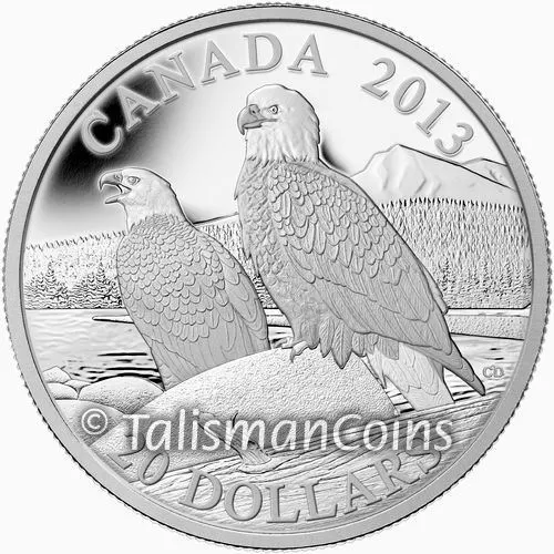 Canada 2013 BALD EAGLE Lifelong Mates $20 1 Oz Pure Silver Proof in FULL OGP