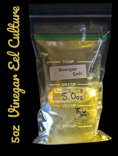 Vinegar Eel Culture -5 oz- Live Arrival Guaranteed -Super Dense Starter🪱