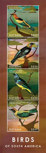 Guyana - 2013 - Birds Of South America - Sheet Of 4 - MNH