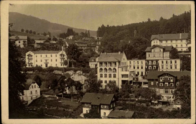 Janské Lázně Johannisbad  Riesengebirge s/w Ansichtskarte ~1920/30 Teilansicht