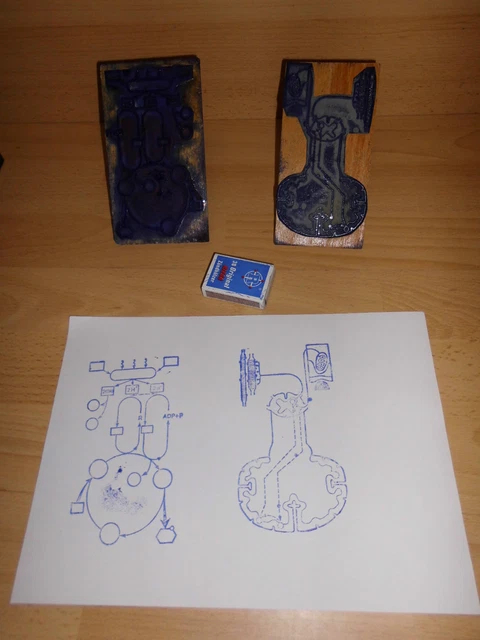 2 Stempel / Biologie 1 x Reflex, 1 x Photosynthese (18), gebraucht