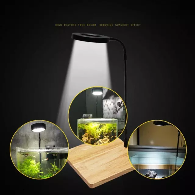 Iluminación LED para acuario, lámpara para acuario, luz para plantas en maceta de 10W con tabla de madera U
