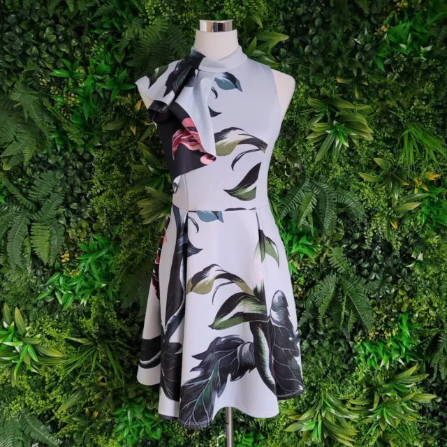 Ted baker kleid S größe 1 blumenmuster alinie skaterkleid