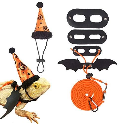 Halloween Thanksgiving Bearded Dragon Lizard Leash Harness Hat Set - Bearded