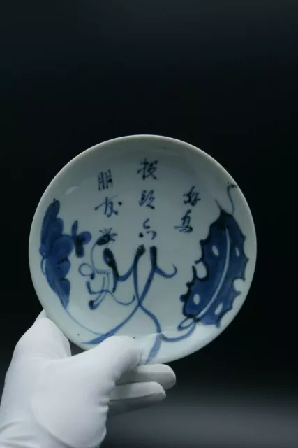 18TH CHINESE BLUE & WHITE PORCELAIN PLATE KANGXI PERIOD PAINTED SIGNED by ARTIST