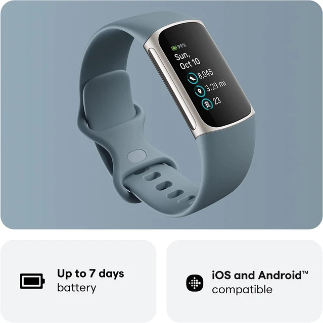 FITBIT CHARGE 5 Tracker fitness e salute avanzato blu acciaio con GPS