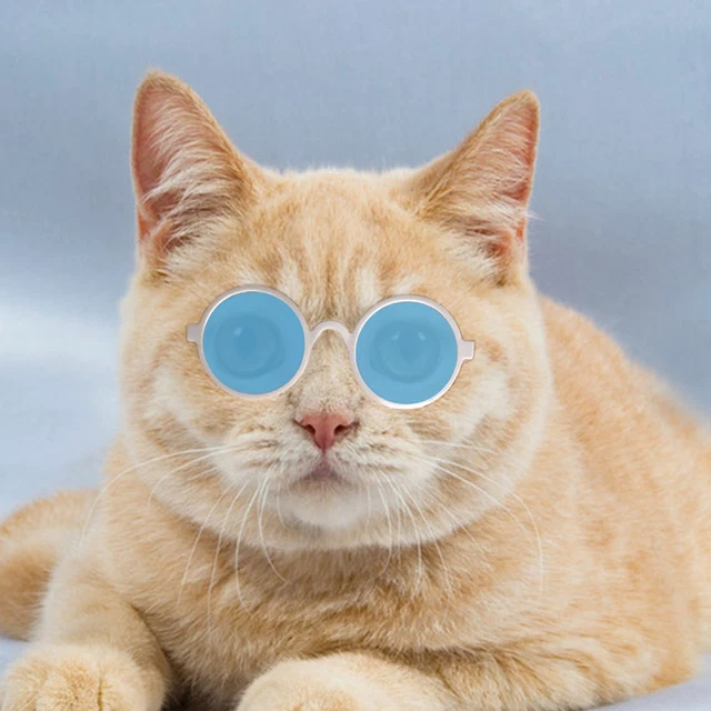Occhiali da sole per animali domestici moda mini animali domestici vintage occhiali riflettenti rotondi resistenti all'usura