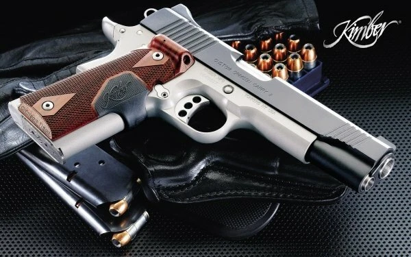 PLAQUE MÉTAL ARME A FEU PISTOLET REVOLVER 30 X 20 CM