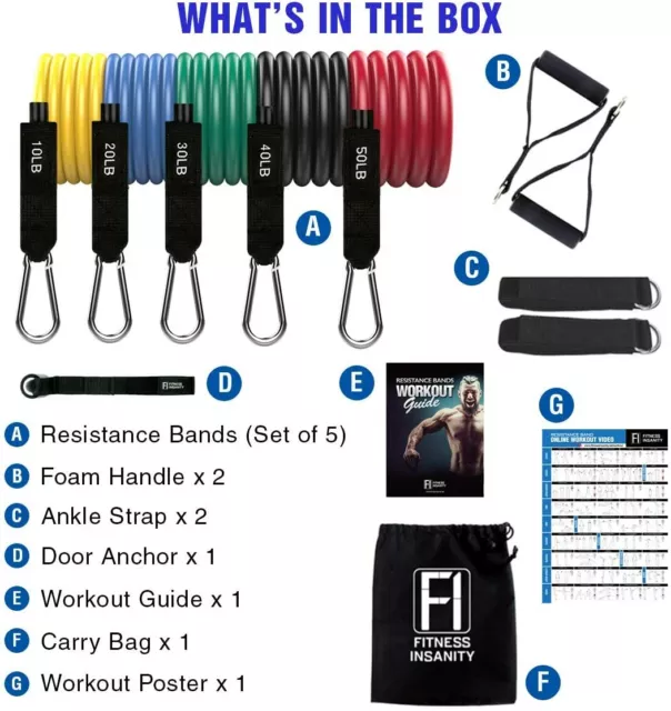 Ensemble de bandes de résistance fitness Insanity - 5 pièces bandes d'exercice - Portable Home G