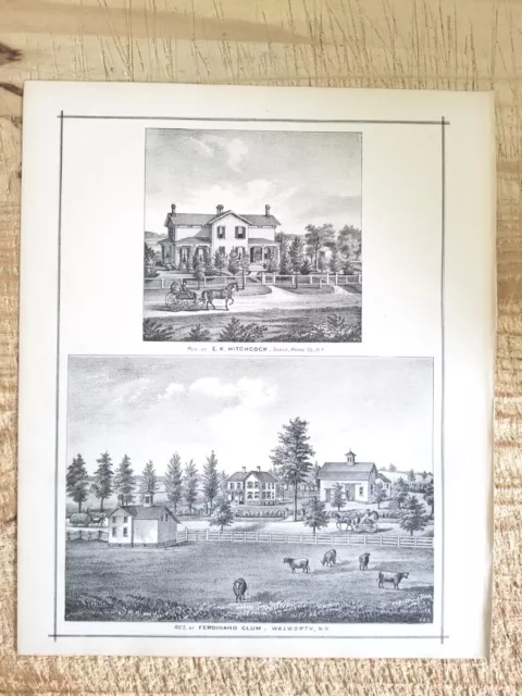 RES OF FERDINAND CLUM,WALWORTH & EK HITCHCOCK,NY.VTG 1887 13.7" x 11.5 ART PRINT