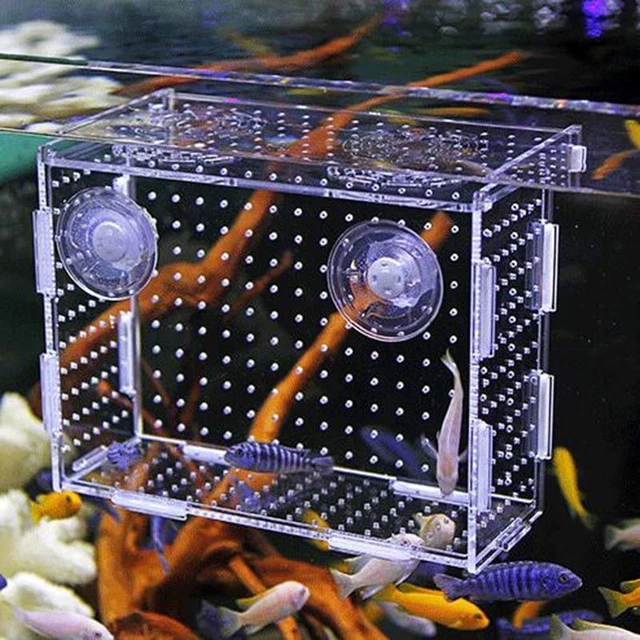Hook Fish Tank - Small Isolation Net Tropical Aquarium Breeding Production Box