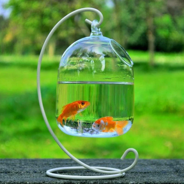 Hanging Fish Bowl Glass Wall Mounted Fish Tank for Home Living Room Decoration