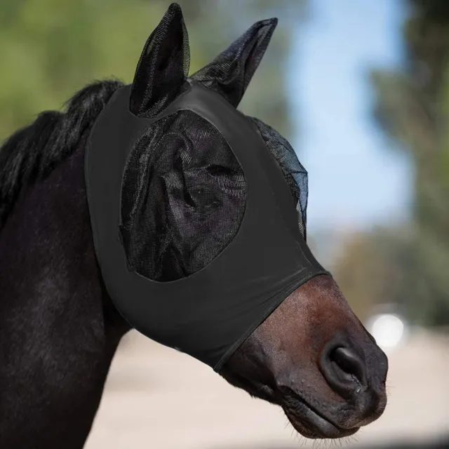 Garde faciale de cheval personnalisable protégez votre cheval avec un ajustemen