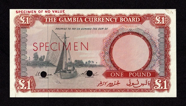 GAMBIA Banknote 1 Pound 1965 - 1970 SPECIMEN UNC Pick 2s Lot 21