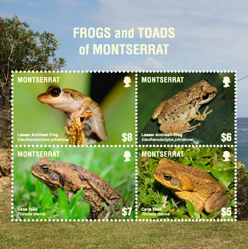 Montserrat 2018 - Frogs and Toads of Montserrat - Sheet of 4v - Scott 1404 - MNH