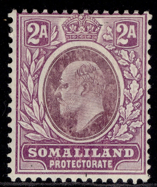 SOMALILAND PROTECTORATE EDVII SG47a, 2a dull/brt purple, M MINT. Cat £24. CHALKY