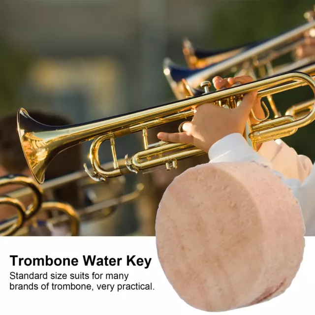 10X Trombone Water Key Spit Valve Cork Pad Instrument Accessoire De Remplacement