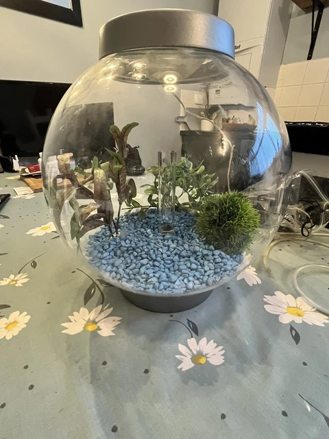biorb fish tank 30L