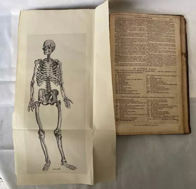 1668 Bartholin  BARTHOLINUS ANATOMY medicine illustrations  2 folding plates