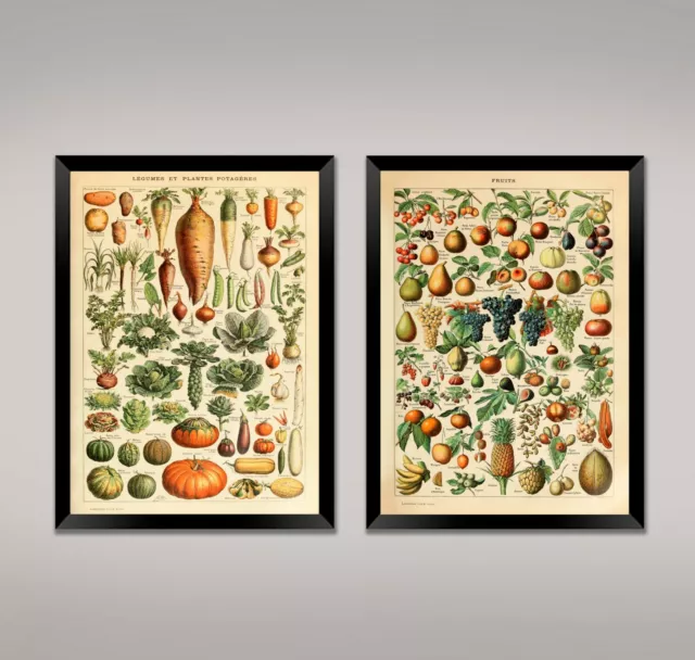 FRUIT AND VEGETABLE PRINTS: Vintage Millot Food Category Posters £7.00 -  PicClick UK