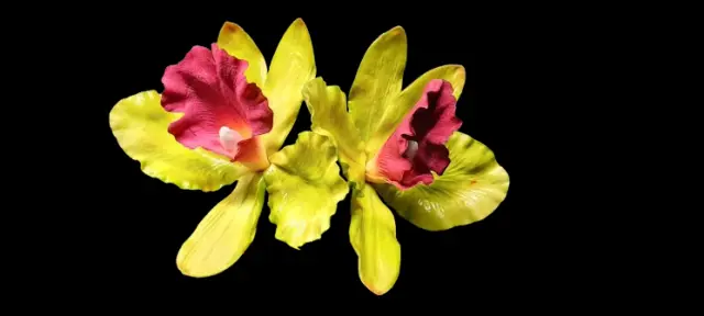 Artificial cattleya orchid blossoms Chartreuse with maroon center