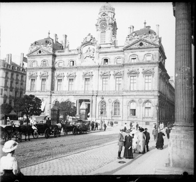 Lyon 1909 - Négatif Verre - Hôtel de Ville Attelages - 1635