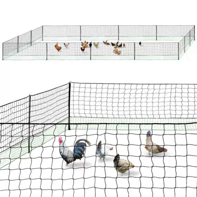 Kit clôture filet à poules 50 M avec porte 15 piquets double pointes