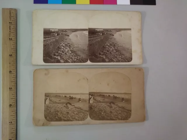Beach J.A. Williams Newport Rhode Island Stereoview Photo