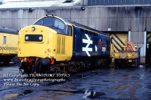 Westie Terrier Eastfield Class 37 Model Railway Sweatshirt - Foto 3