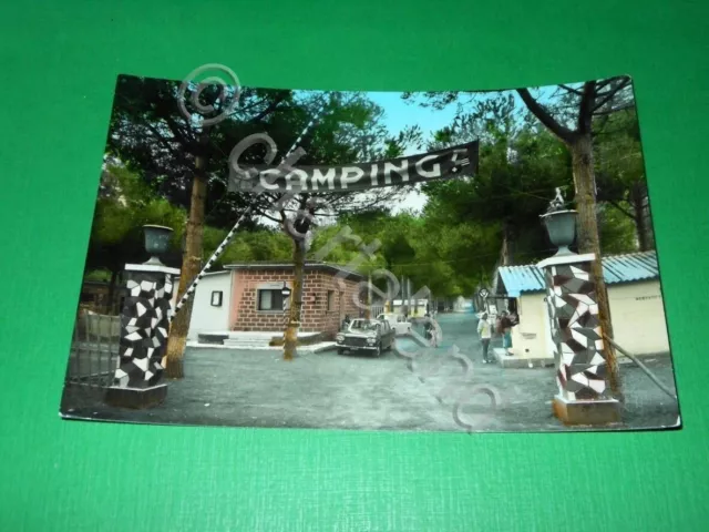 Cartolina Tarquinia ( Viterbo ) - Camping Internazionale - Ingresso 1956