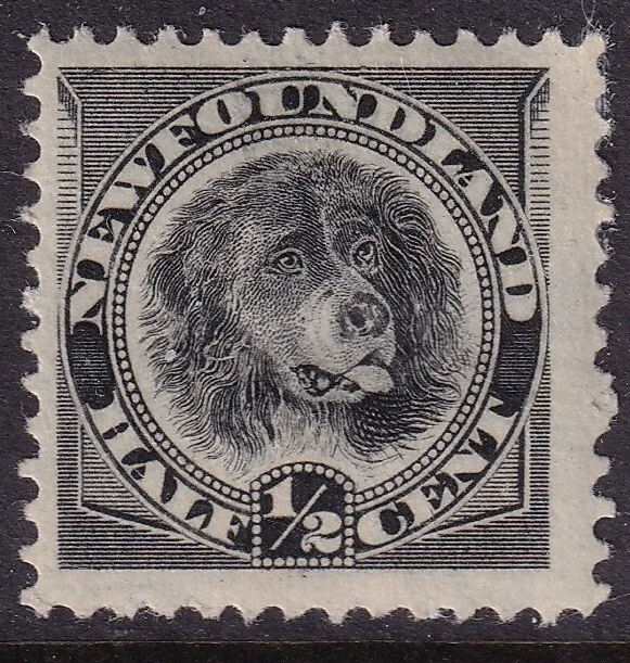 NEWFOUNDLAND  1894   Half Cent  NEWFOUNDLAND DOG Black  MH some adhesions