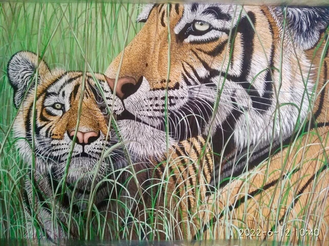 Vie Sauvage Indien Tigre Peinture Fait à la Main Peint Sur Soie