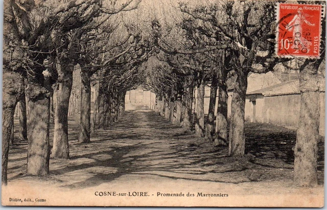 58 COSNE SUR LOIRE - la promenade des marroniers.
