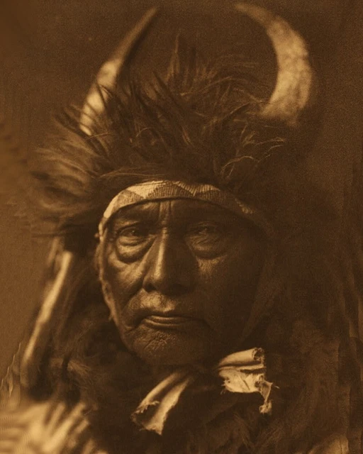 bull chief apsaroke Indian T shirt Transfers Iron On 8 x 10 Lite/ Dark Fabric
