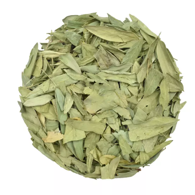 Tisane Feuilles de Séné (Sana Makki) 100g-500g - Cassia Senna