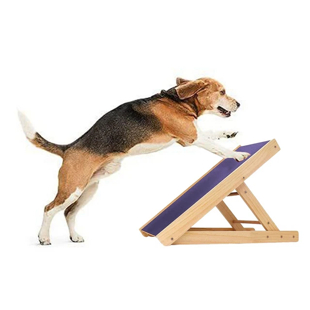 Planche à gratter pour ongles pliable pour chien sans  le chien en